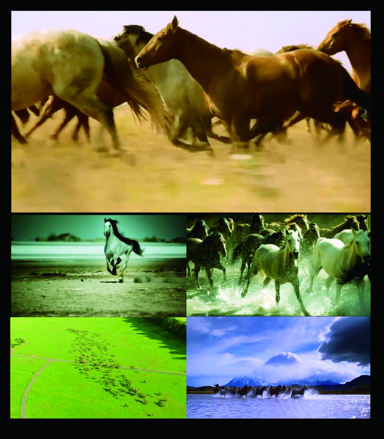 小马奔腾舞蹈背景视频 