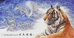 老虎