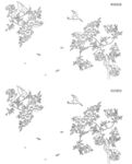 花树鸟 矢量图