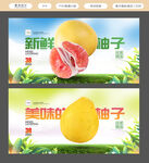 柚子
