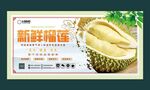 榴莲墙画
