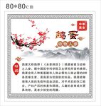 鸽蛋简介
