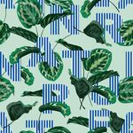 植物图案