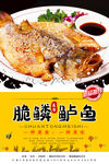 脆鳞鲈鱼