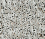 大牌  数码印花