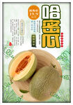 哈密瓜