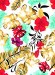 花卉