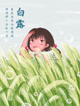 白露插画