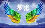 梦想的翅膀