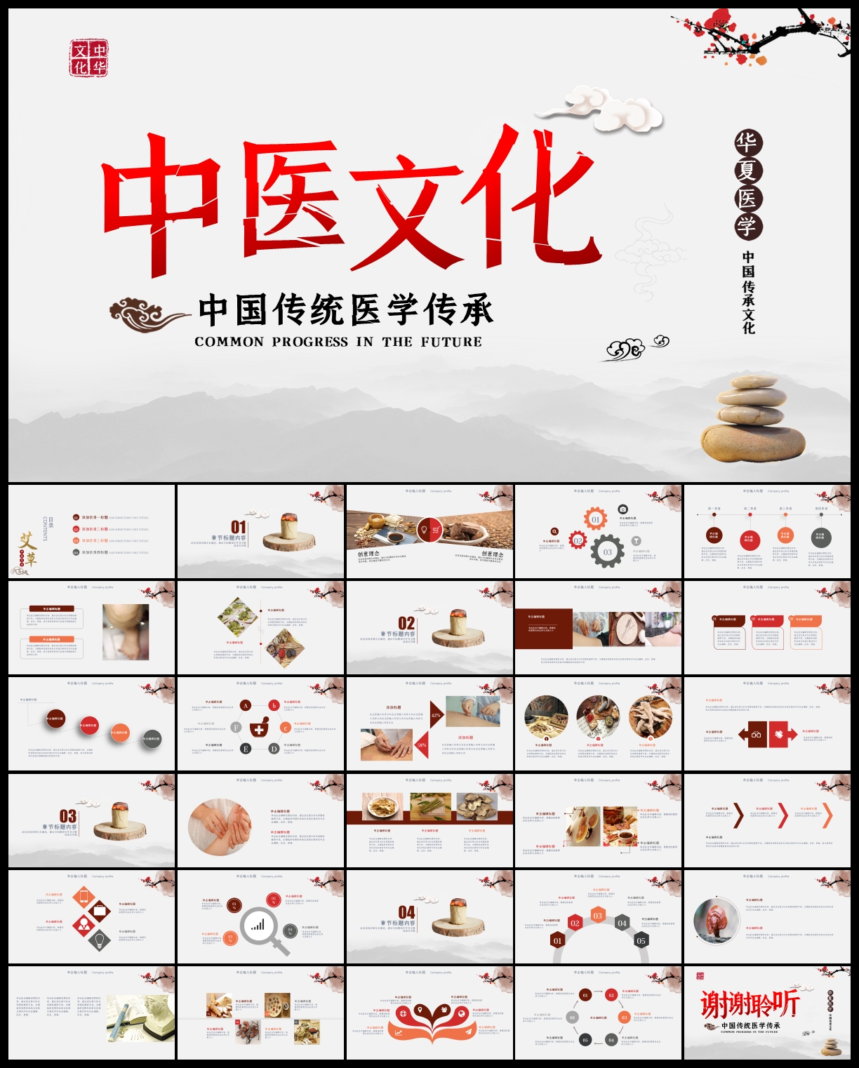 中医学中医药中草药中医院PPT