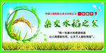 袁隆平 水稻之父 
