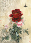 牡丹花工笔画