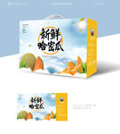 哈密瓜包装