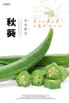 秋葵海报