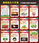 森林防火十不准