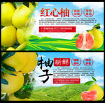 红心柚