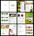 生态庄园有机食材蔬菜绿色画册