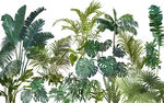 植物框画