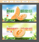 哈密瓜