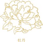牡丹线描