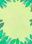 春季植物背景