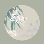 手绘中国风植物插画