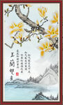 玉兰花