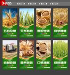 小麦