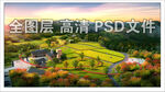 田间景观