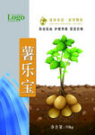 马铃薯种植海报