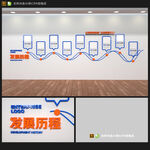 企业发展历程