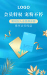 蓝色会员特权电商海报