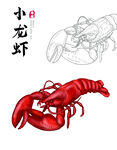 手绘龙虾