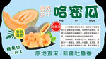 哈密瓜