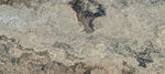 地面瓷砖