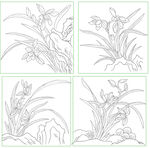 兰花