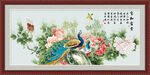 花开富贵牡丹图