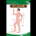 传统中医挂图