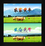 黄牛