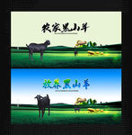 黑山羊