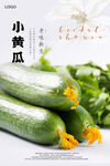 荷兰黄瓜海报