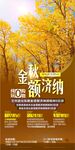 胡杨林