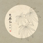 手绘火麻仁