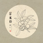 手绘茶叶