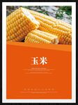 玉米