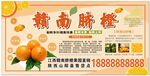 赣南脐橙海报
