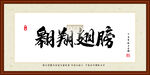 翱翔翅膀