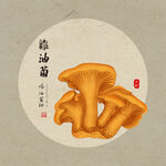 手绘鸡油菌