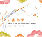 云南攀蜥