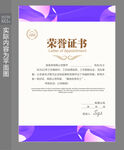 员工荣誉证书 